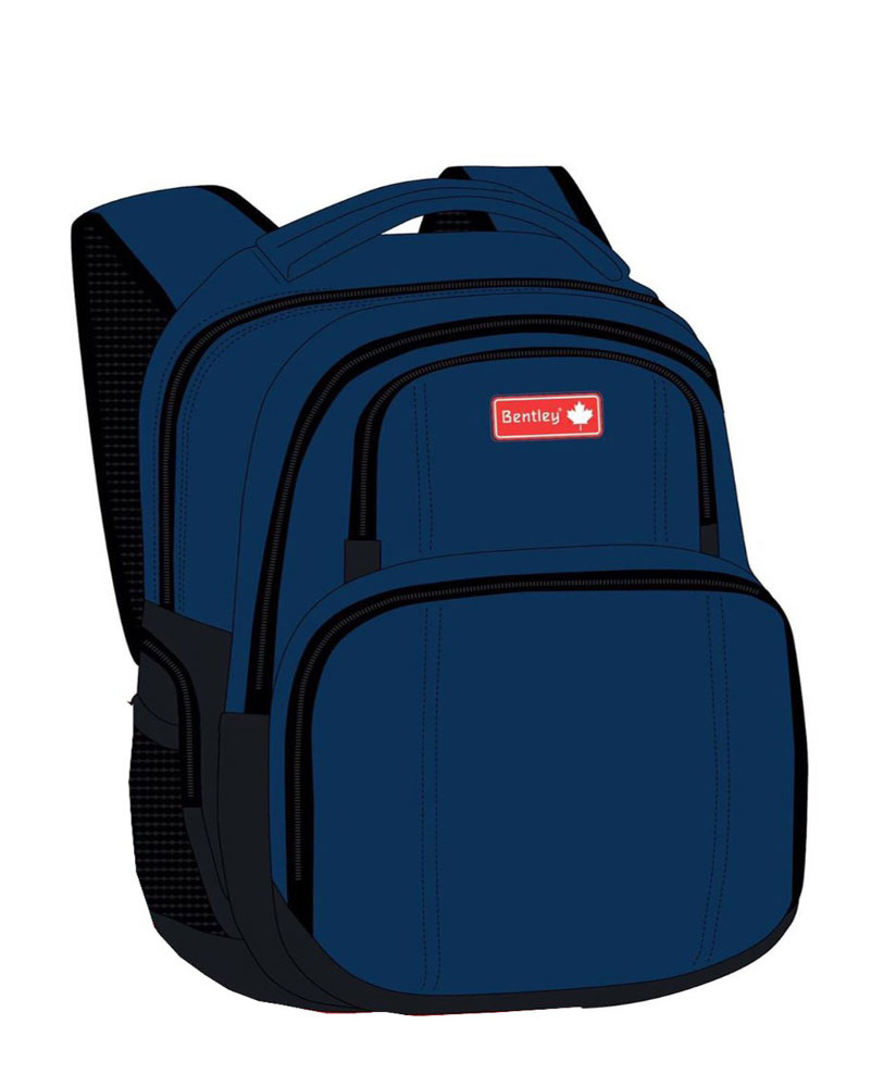 Bentley High Quality school bag backpacks price in UAE | Amazon UAE |  kanbkam