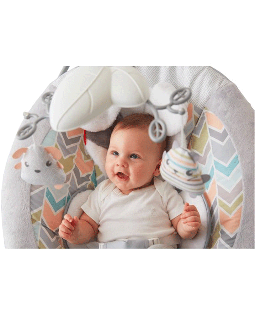 Fisher price puppy bouncer hot sale seat